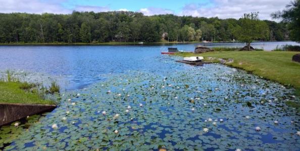 202 Deerfield Road, Lake Ariel, ペンシルベニア 18436, アメリカ合衆国