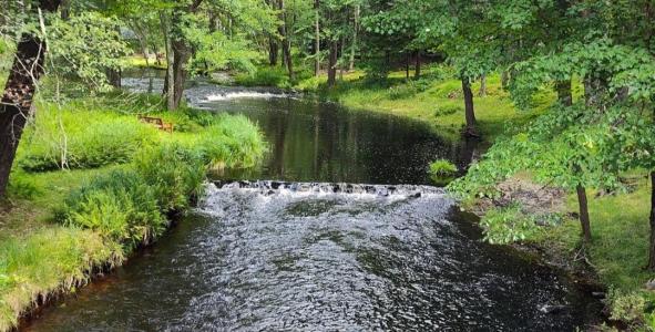43 Underwood Lane, Lake Ariel, ペンシルベニア 18436, アメリカ合衆国