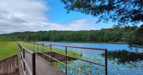 43 Underwood Lane, Lake Ariel, ペンシルベニア 18436, アメリカ合衆国