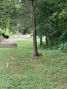 0 Arnold Palmer Dr, Greeneville, Tennessee 37743, HOA KỲ