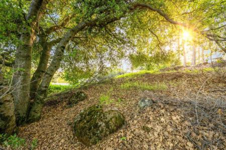 16718 Lena Court, Grass Valley, Califórnia 95949, Estados Unidos