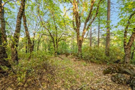 16718 Lena Court, Grass Valley, 加利福尼亚州 95949, 美国