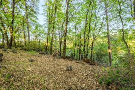16718 Lena Court, Grass Valley, 加利福尼亚州 95949, 美国
