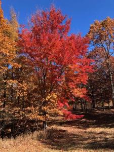 217 A Day Dream Drive, Dunlap, 田纳西州 37327, 美国