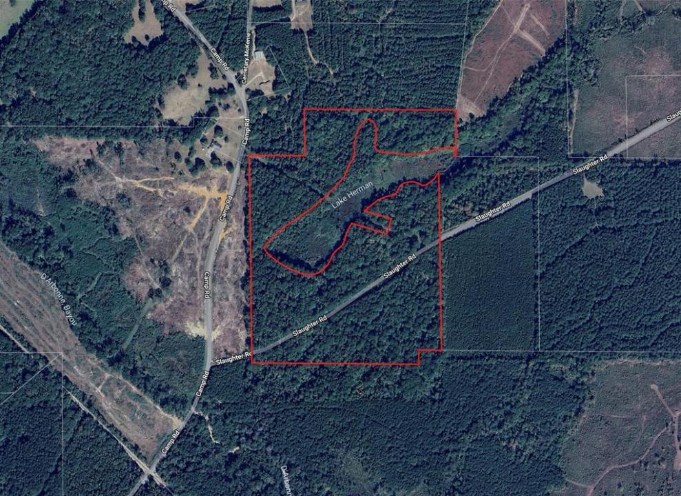 242 Slaughter Road, Homer, Louisiana 71040