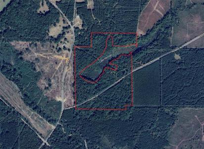 242 Slaughter Road, Homer, Louisiana 71040