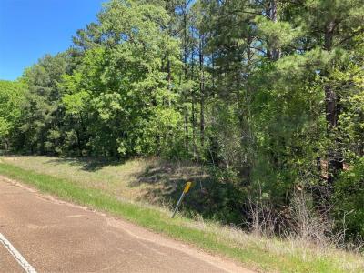 242 Slaughter Road, Homer, Louisiana 71040