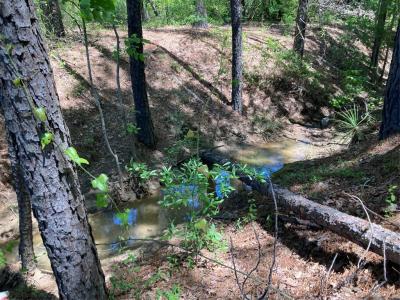 242 Slaughter Road, Homer, Louisiana 71040