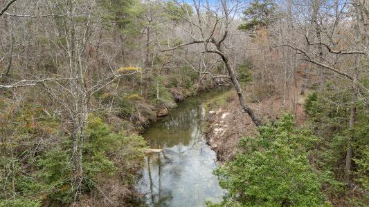 299 9006 Road, Mentone, Alabama 35984, USA