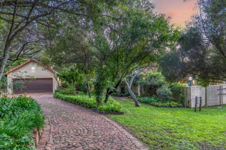 Randburg, Gauteng, Güney Afrika