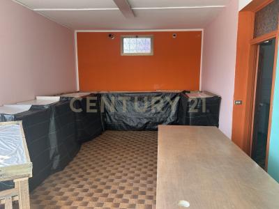 Bovolone, Veneto 37051, Italia