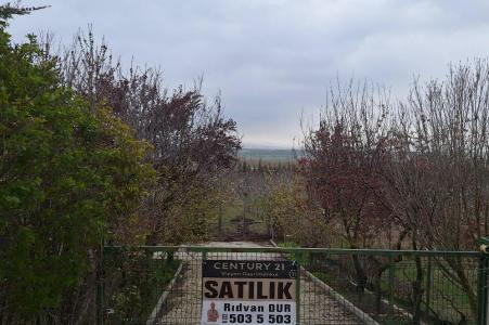 Eskişehir, 26005, Türkiye