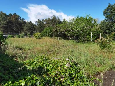 Seixal, Setúbal 2865-000, Portugal