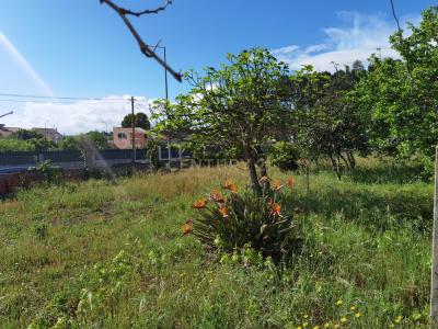 Seixal, Setubal 2865-000, Portugal