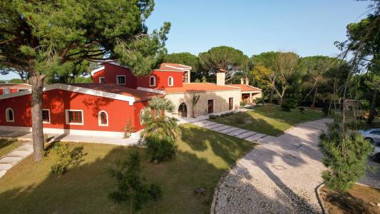 Montijo, Setubal 2985-120, Portugal