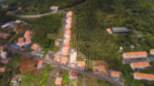 Santa Cruz, Madeira 9100-222, Portugal