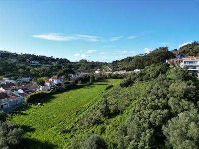 Odivelas, 리스보아 1685-115, 포르투갈