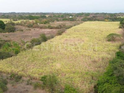Parcela 73 Z-0 SN,, Villa De Álvarez, Colima 28965, Mexico