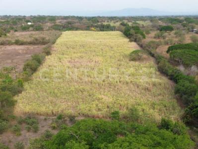 Parcela 73 Z-0 SN,, Villa De Álvarez, Colima 28965, Mexico