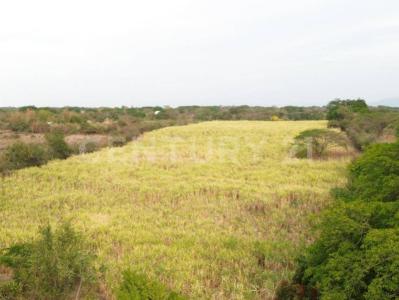 Parcela 73 Z-0 SN,, Villa De Álvarez, Colima 28965, Mexico