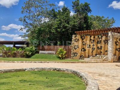 ZONA 2 ,, Lázaro Cárdenas, Quintana Roo 77511, Mexico