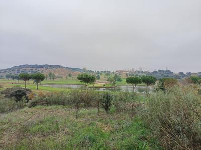 Guadalajara, Castilla-La Mancha 19171, Hiszpania