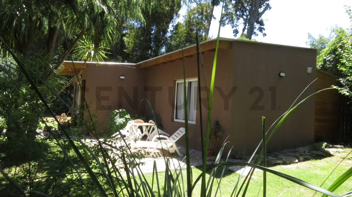 Los Guaycurues y Mangore 1335, Mar Del Plata, Buenos Aires Costa Atlántica 7600, Argentinien