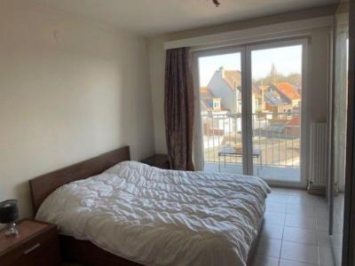 Brusselsesteenweg 207, Ledeberg, בלגיה