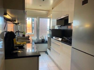 Brusselsesteenweg 207, Ledeberg, בלגיה