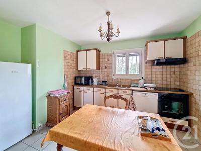 Le Barcares, Languedoc-Roussillon 66420, צרפת