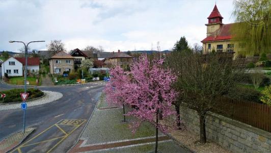 Jenišovice, Jablonec Nad Nisou 46833, Repubblica Ceca