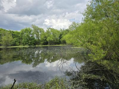 Lake St, Mt Vernon, Texas 75457, États-Unis