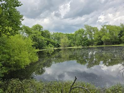 Lake St, Mt Vernon, Texas 75457, États-Unis