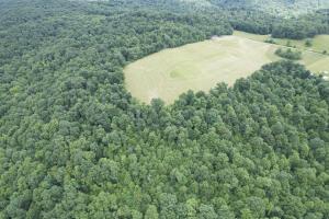 3205 McRoberts Rd, Wallingford, Kentucky 41093, USA