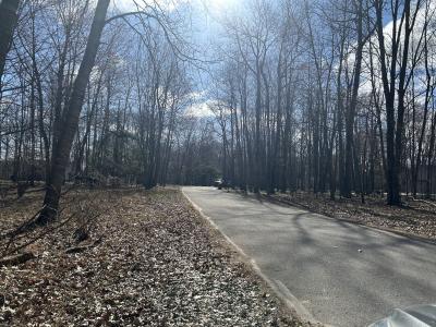 9620 Sunset Dr., Canadian Lakes, Michigan 49346, USA