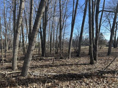 9620 Sunset Dr., Canadian Lakes, Michigan 49346, USA