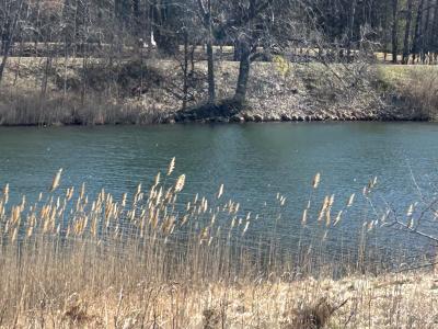 9620 Sunset Dr., Canadian Lakes, Michigan 49346, USA