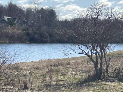 9620 Sunset Dr., Canadian Lakes, Michigan 49346, USA