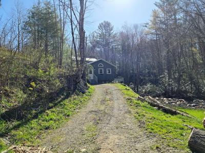 115 Little Horse Path, Lansing, NC 28643, USA