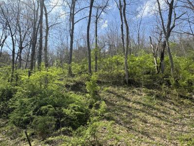 0000 Tates Creek Rd, Richmond, Kentucky 40475