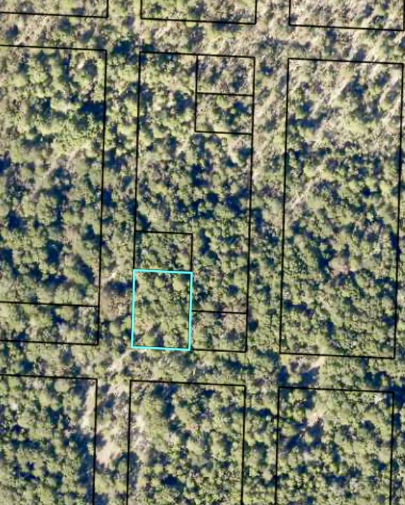 00 Christopher Ln, Crestview, Floride 32539, États-Unis