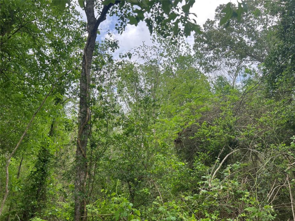 000 Cemetery Road, Ames, 德克薩斯州 77575, 美國