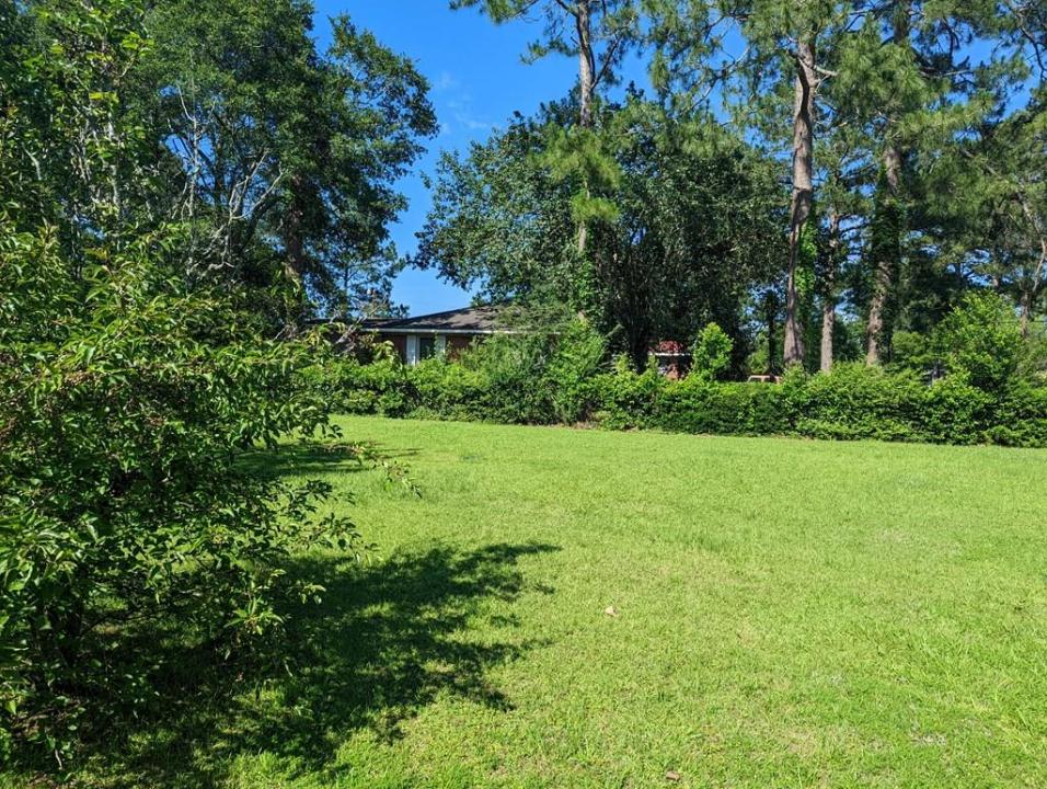 00 Martin Luther King Jr. Avenue, Ashburn, Geórgia 31714, Estados Unidos