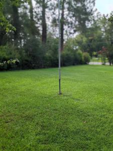 00 Martin Luther King Jr. Avenue, Ashburn, Geórgia 31714, Estados Unidos