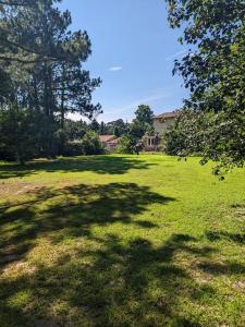 00 Martin Luther King Jr. Avenue, Ashburn, Geórgia 31714, Estados Unidos