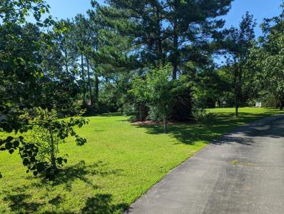 00 Martin Luther King Jr. Avenue, Ashburn, Geórgia 31714, Estados Unidos