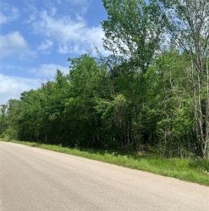 000 County Road 158, Liberty, 德克薩斯州 77575, 美國
