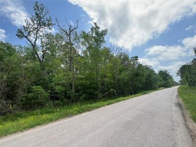000 County Road 158, Liberty, 德克薩斯州 77575, 美國