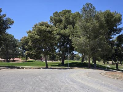 26979 Lakeview Dr, Helendale, California 92342