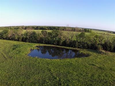 TBD CR 14790, Paris, Texas 75462, Stati Uniti